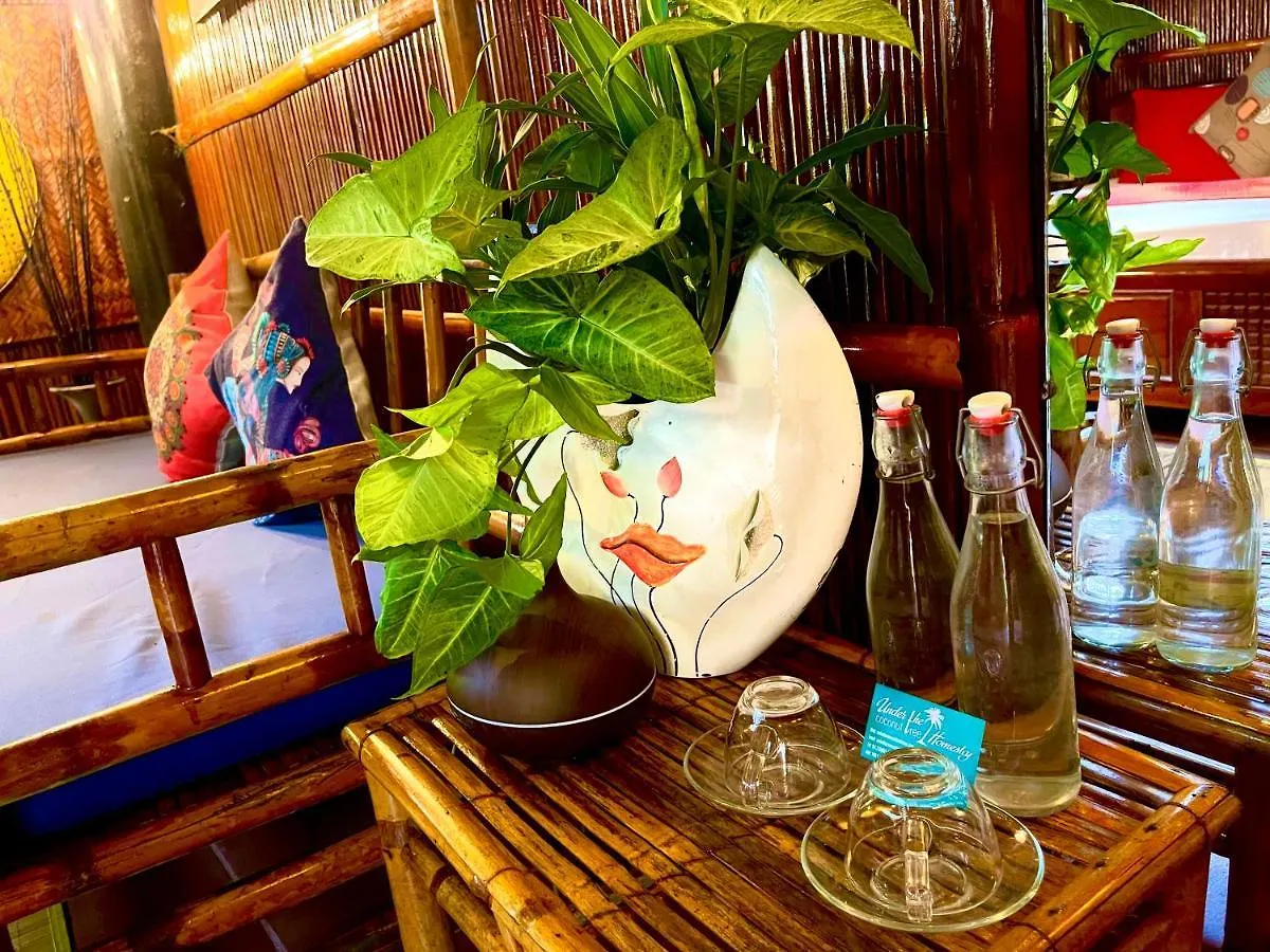Under The Coconut Tree Hoi An Homestay