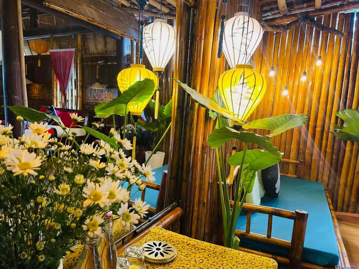 Under The Coconut Tree Hoi An Homestay